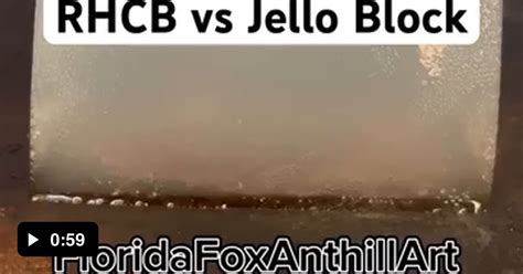 rhcb urban dictionary|RHCB vs Jello Block : r/Damnthatsinteresting .